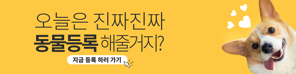 배너